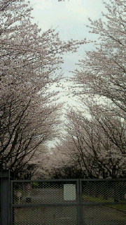 f0114900_12104184.jpg