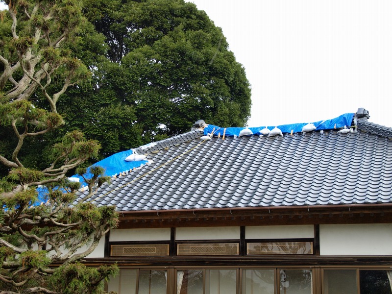 f0224100_23211639.jpg