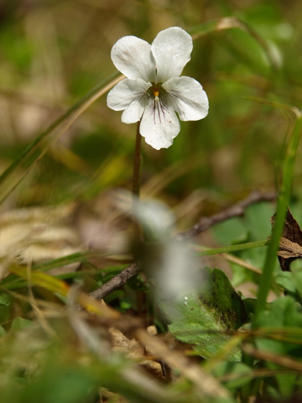 f0224100_2330054.jpg