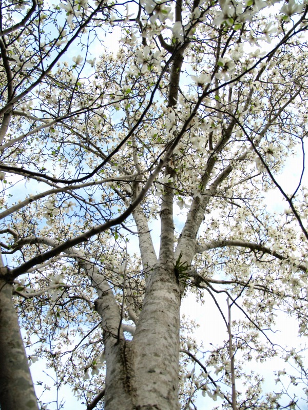 f0224100_23354774.jpg