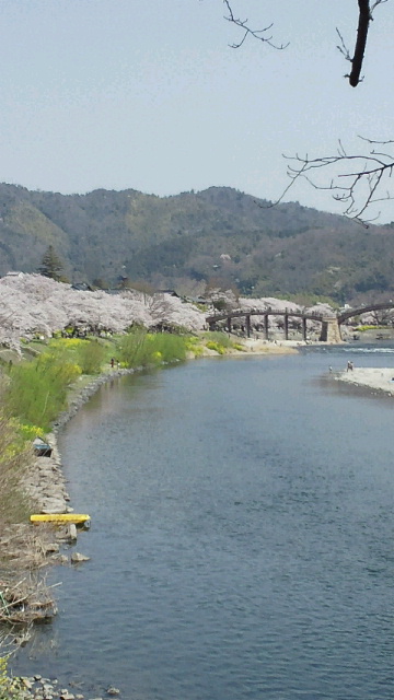 c0068901_155770.jpg