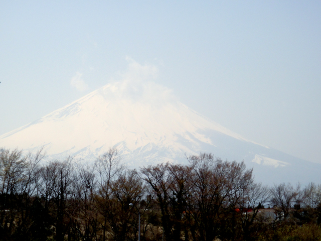 d0004301_15211940.jpg