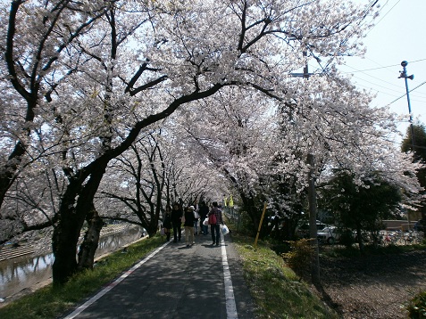e0010302_16134924.jpg