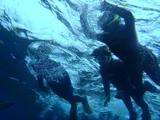 d0024504_223166.jpg