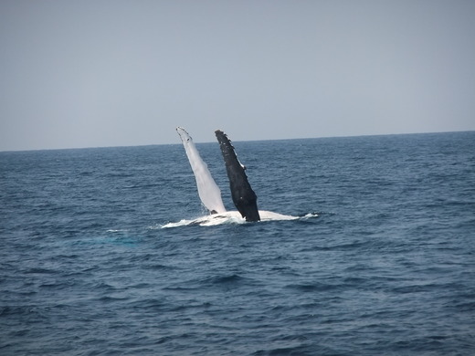 d0024504_2262129.jpg