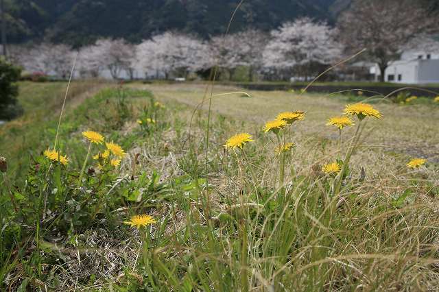a0188405_7235689.jpg