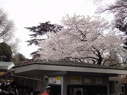 e0220205_2320795.jpg
