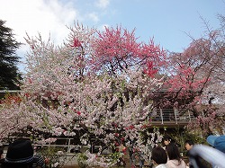 e0220205_23352293.jpg