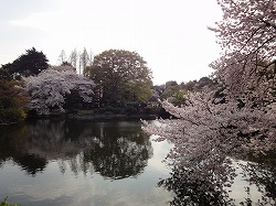 e0220205_23421561.jpg
