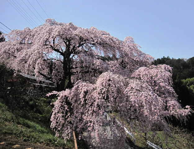 e0146907_20132484.jpg