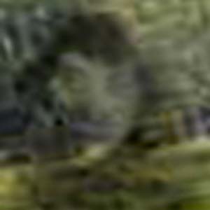 e0103408_19545648.jpg
