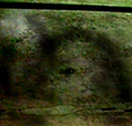 e0103408_20325185.jpg