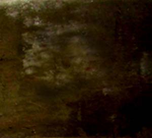 e0103408_20433131.jpg