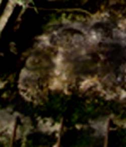 e0103408_20441430.jpg