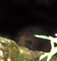 e0103408_2044286.jpg
