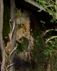 e0103408_20443024.jpg