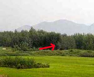e0103408_2064228.jpg