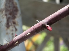 c0190010_20343553.jpg