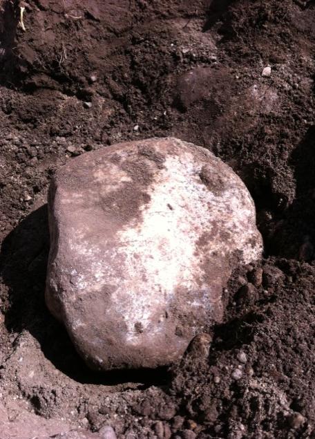 e0090610_6411228.jpg