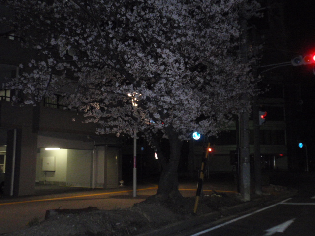 b0062214_13294625.jpg