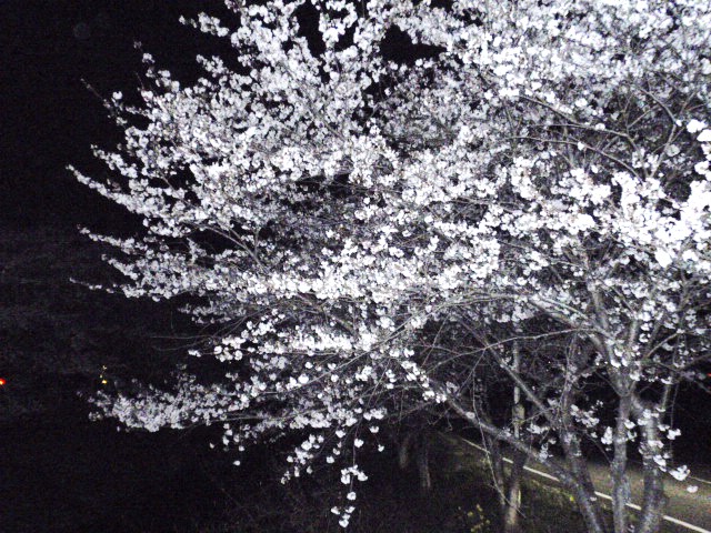 b0062214_13303058.jpg