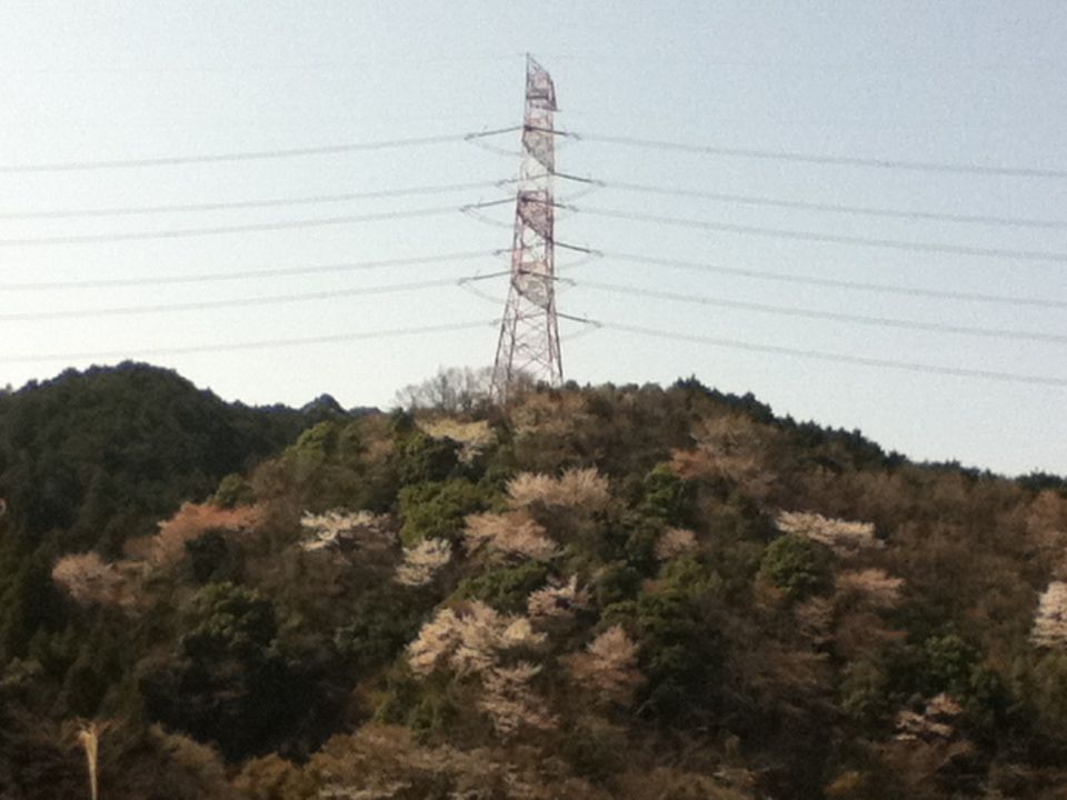 e0167315_17361312.jpg