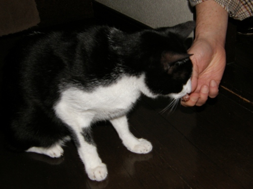 c0158916_21273167.jpg