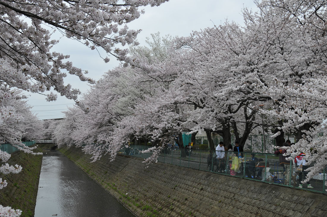 f0206417_17545610.jpg