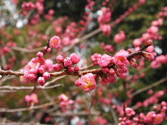 a0157619_035693.jpg