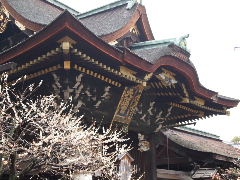 a0157619_07649.jpg