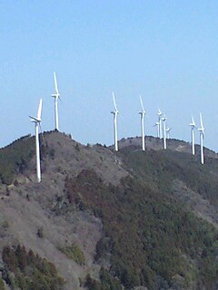 e0172921_1844297.jpg