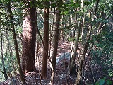 f0193521_18555475.jpg