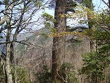 f0193521_19105443.jpg