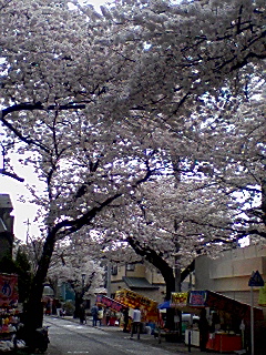 b0209623_18133852.jpg