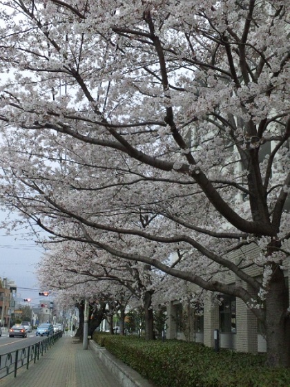 b0199924_11391260.jpg