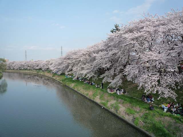 e0196135_2182787.jpg