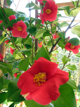 f0234936_2242853.jpg