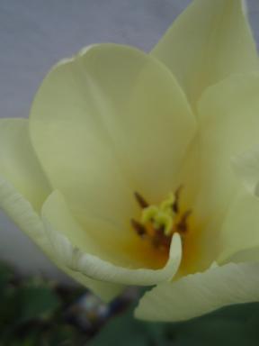 e0175838_932588.jpg