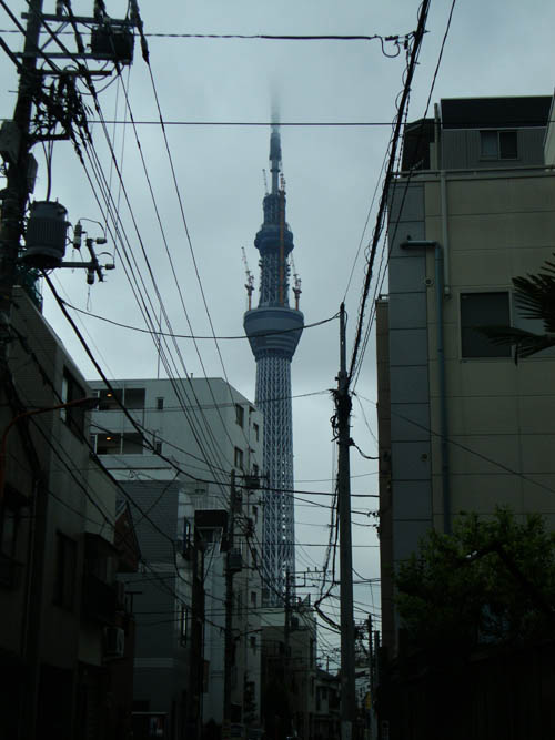a0094239_22515928.jpg