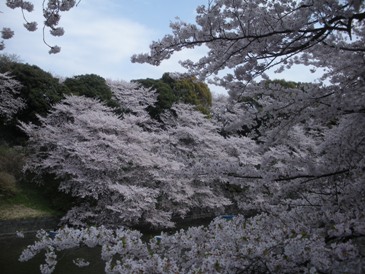 e0149340_21401126.jpg