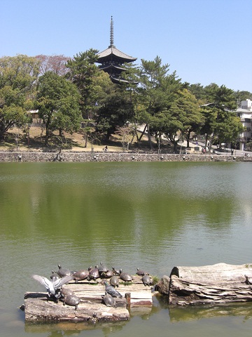 a0031041_2053977.jpg