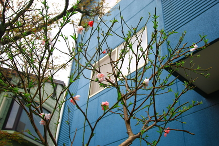 c0122445_1638952.jpg