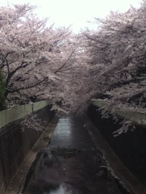 c0034850_13362154.jpg