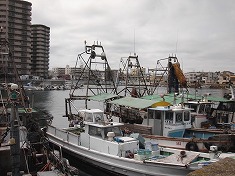 d0138650_12513080.jpg