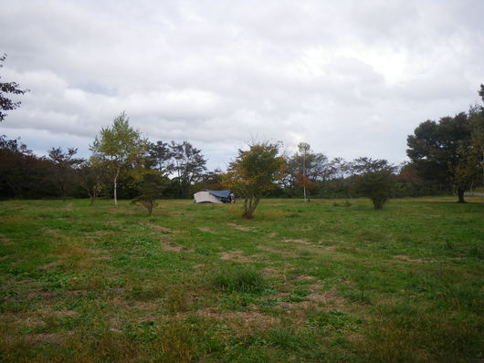f0046250_0133692.jpg
