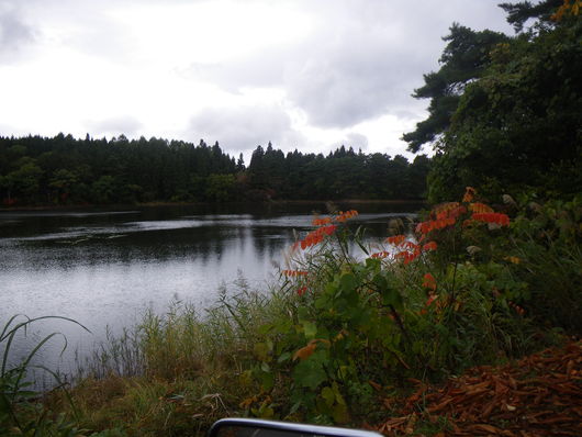 f0046250_112027.jpg