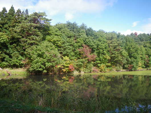 f0046250_184434.jpg