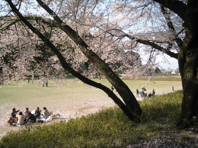 f0202151_21152181.jpg