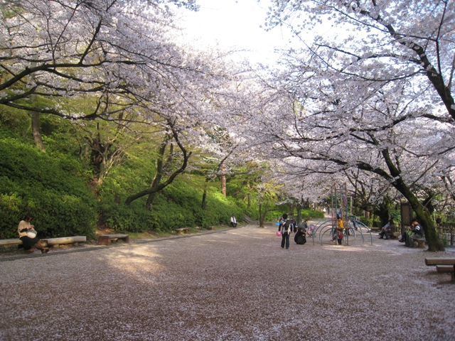 f0202151_2117020.jpg