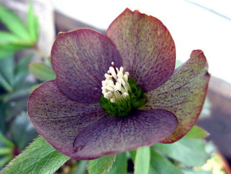 c0147952_9361047.jpg
